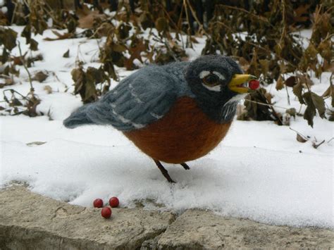 Needle Felted Bird American Robin With Berries Sculpture Etsy