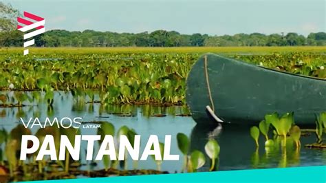 Pantanal Natureza Intocada Youtube
