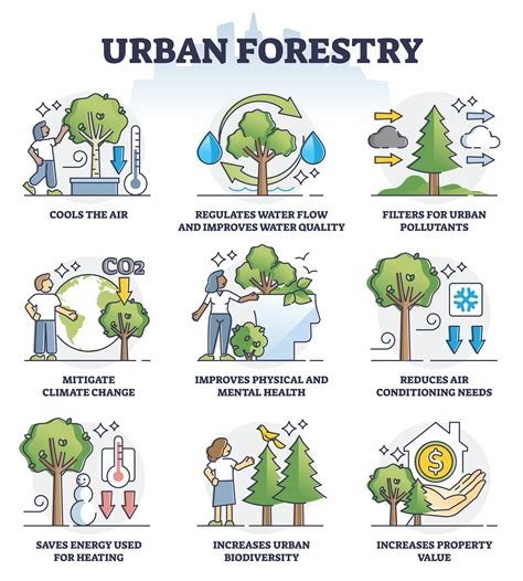 The Benefits Of Trees City Of Takoma Park