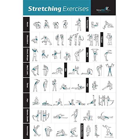 Stretching Exercise Poster Laminated Shows How To Stretch Specific
