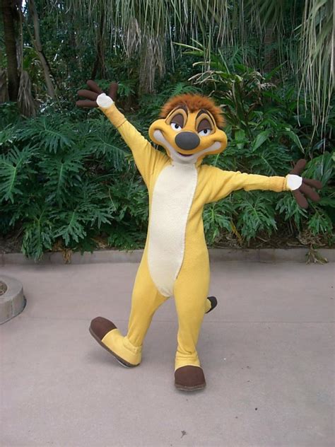 Unofficial Disney Character Hunting Guide Animal Kingdom Character