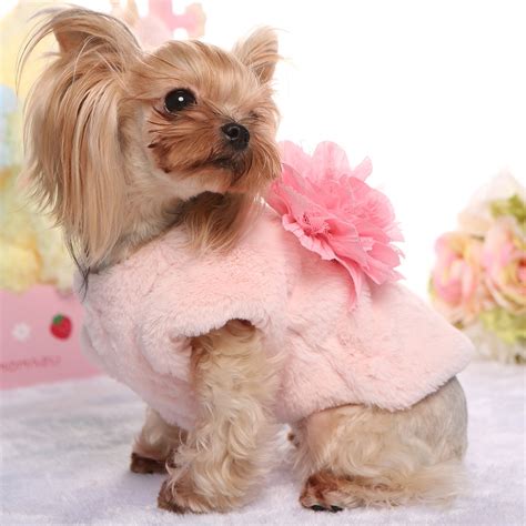 Dog Fashion 2016 These Dogs Are So In Style Dogexpress