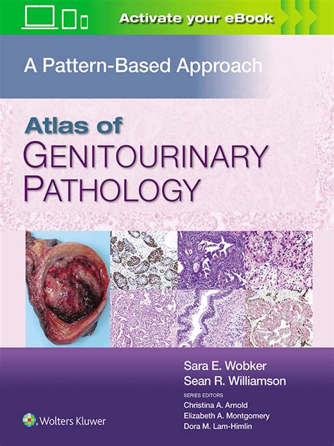 Atlas Of Genitourinary Pathology A Pattern Based Approach Vasiliadis