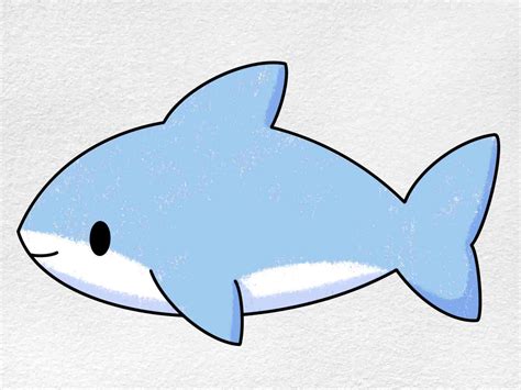 How To Draw A Cute Shark Step By Step Drawing Guide B - vrogue.co