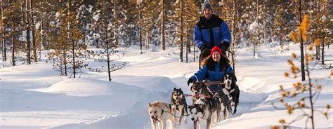 Husky Sledding In Finland What To Expect On The Go Tours Blog