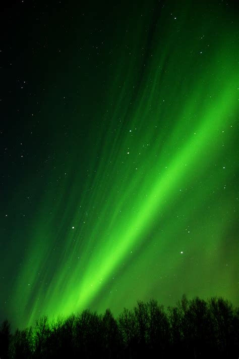 Northern Lights Forecast Alaska Change Comin