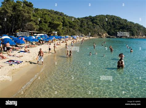 Krasa O Banana Beach Costa Norte Skiathos Las Espórades Mar Egeo Grecia