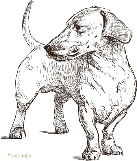 Ausmalbilder mit hunden