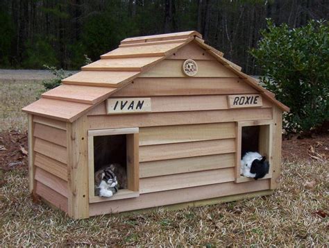 Outdoor Cat House Petsmart 11 Explore Top Designs Created By The Very