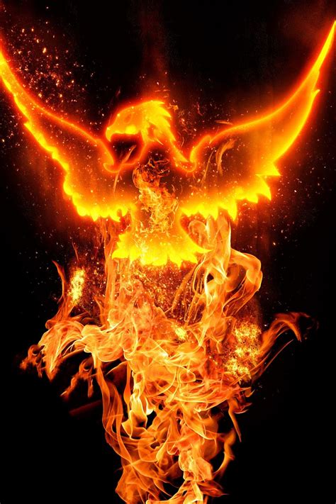 Phoenix Symbolism 10 Spiritual Meanings Of Phoenix