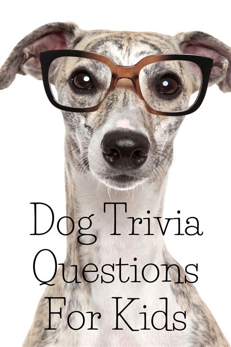 Dog Trivia Quiz For Children Answers Included Waggy Tales