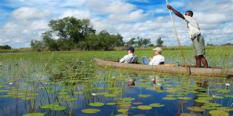 Botswana Travel Guide Parks Best Time Reviews And More