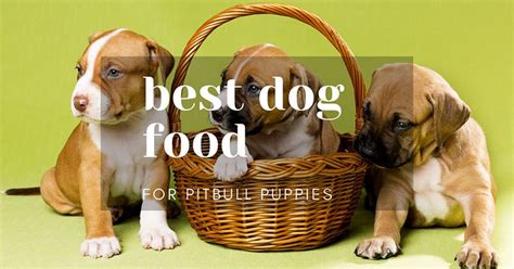 Our pet expert kate barrington breaks down the 10 best dog foods for pitbulls in 2021. Best Dog Foods for Pitbull Puppy of 2019: Do NOT Buy ...