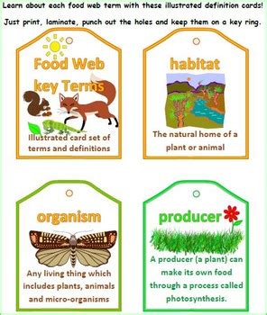 Trophic levels organisms in food webs are grouped into categories called trophic levels. Food Chains and Food Webs illustrated definition cards | TpT