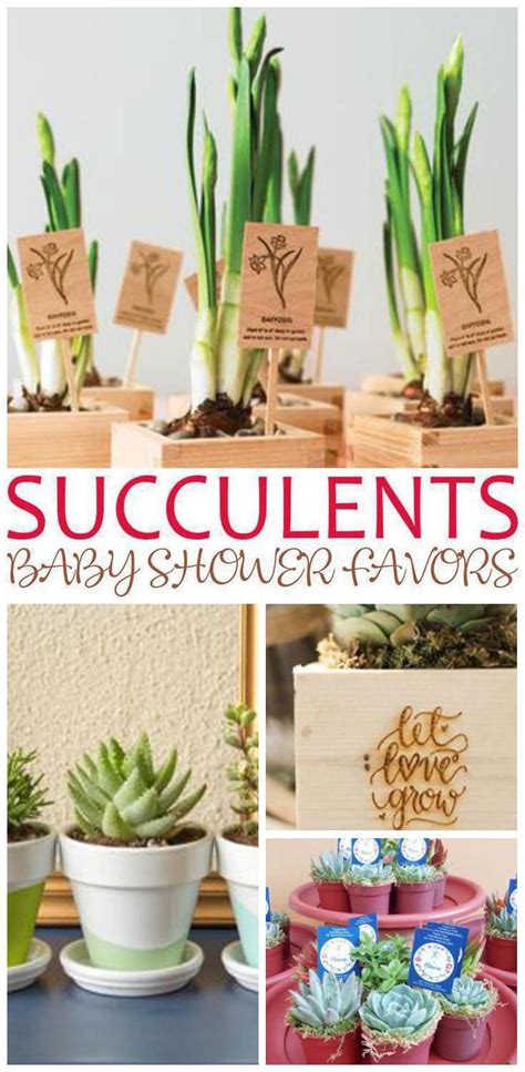 A unique shower theme, like a butterfly baby shower, will set your event apart from the rest and can set the tone to ensure a fabulous time is had by all. Succulents Baby Shower Favors | Baby shower favors, Baby ...