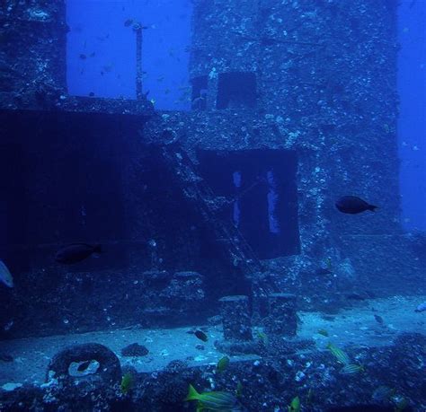 Seven Amazing Coral Reefs Made From Sunken Vehicles Submarines