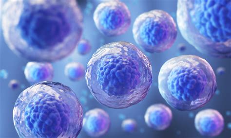 vor bio s dual stem cell adc shows consistent engraftment