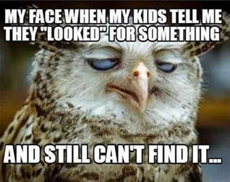 36 Funny Bird Memes