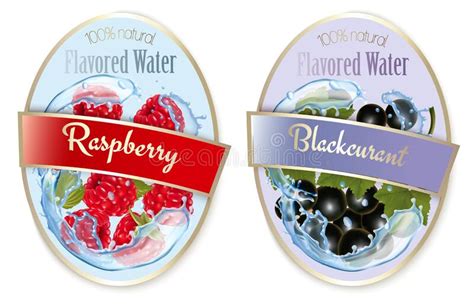 Set Of Labels With Fruit And Berries Flavored Water Stock Vector
