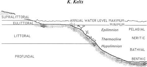 Figure 5 From Environments Of Deposition Of Lacustrine Petroleum Source