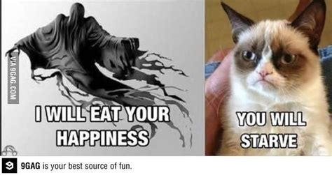 Tardar sauce better know as grumpy cat or angry cat is one of the most famous internet cats on youtube. Cat memes clean에 관한 Pinterest 아이디어 상위 25개 이상 | 재미있는 고양이 밈 ...