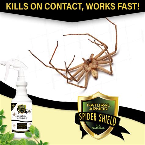 Natural Armor Spider Killer And Repellent Spray Powerful Peppermint