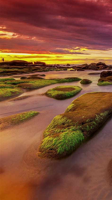 Moss Covered Rocks At Sunset Sabah Beach Borneo