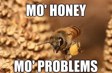 What S The Buzz All About Bees Know Your Meme