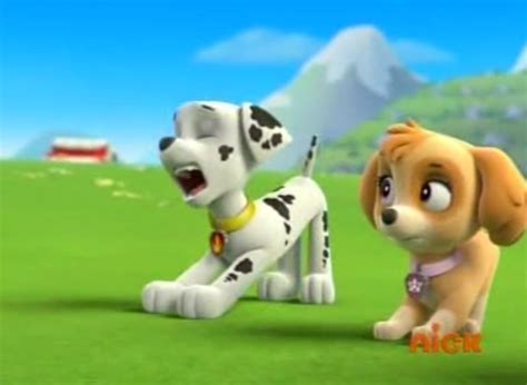 Paw Patrol Images Skye The Cockapoo Wallpaper And