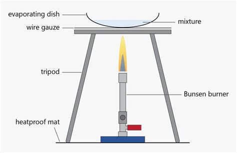 Parts Of A Bunsen Burner Their Functions Sciencing Vrogue Co