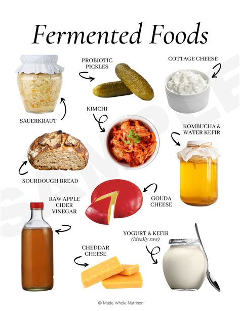 fermented foods handout — functional health research resources — made whole nutrition