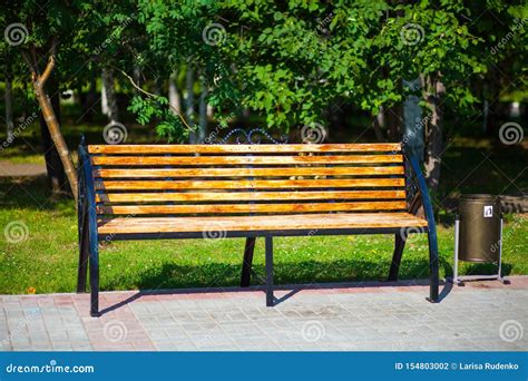 Beautiful Wooden Bench In The Park Against The Background Of Greenery
