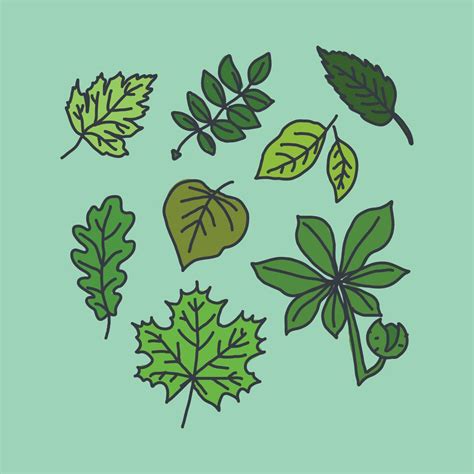 Doodle Of Leaves 173385 Vector Art At Vecteezy