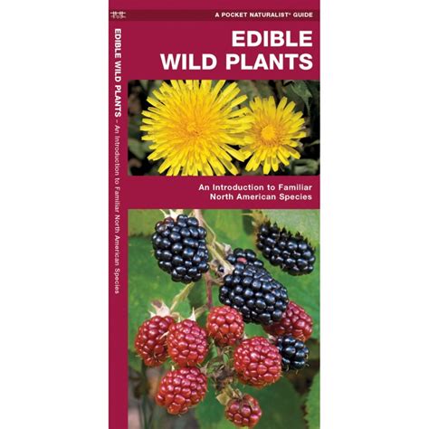 Edible Wild Plants Pocket Naturalist Guide Pocket Field Guide