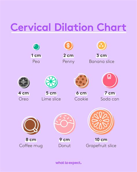 Cervical Effacement Dilation Cervical Effacement Cerv