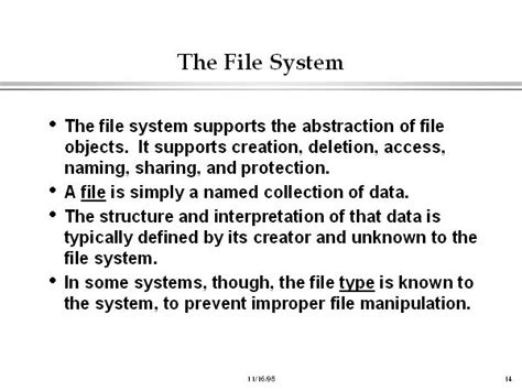 The File System