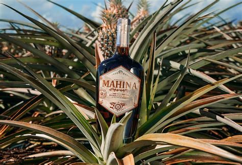 Mahina Rum Rum Novelty Christmas Holiday Decor