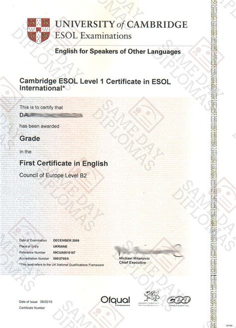Buy Cambridge Esol Entry Level Certificate Doc Printers