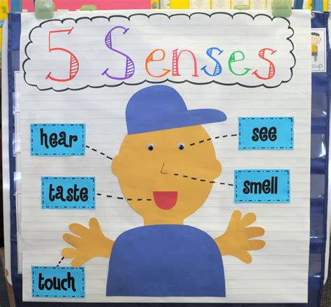 five sense worksheet new 904 five senses preschool