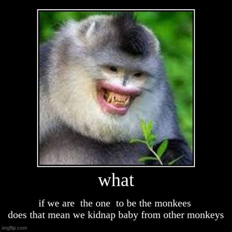 When We Are Monkeys Imgflip
