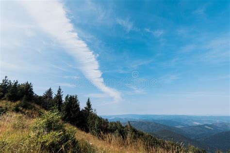 Field In Mountains With Green Pines Against Sky With Clouds Stock Image