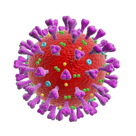 Animated Corona Virus Coronavirus Scientific Model 3d