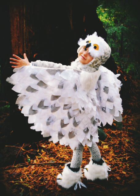 No Sew “snowy Owl” Costume In 2020 Owl Costume Owl Halloween Costumes Owl Costume Diy