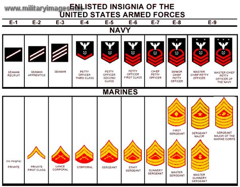 Us Navy Us Marine Corps Ranks Us Navy Enlisted Ranks Navy Officer