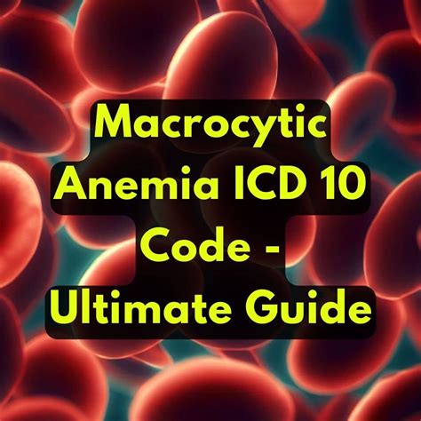 Avoid Macrocytic Anemia Icd 10 Code Error The Ultimate Guide