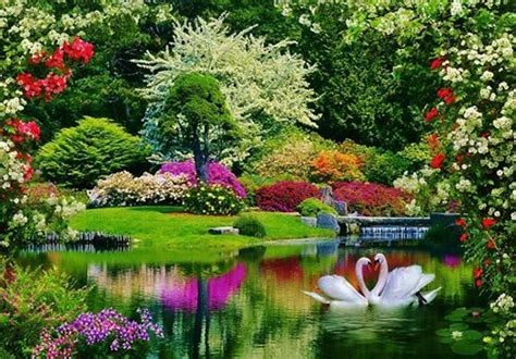 Flower Garden And Lake Beautiful Scenery Pinterest