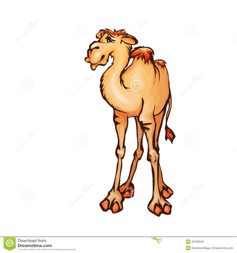 Vector Illustration Of Camel In Cartoon Style Stock ...