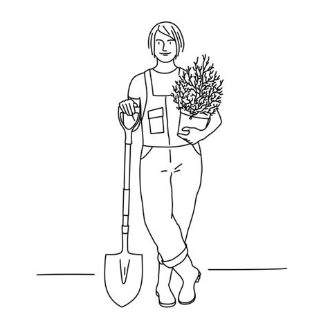 Woman Gardening Drawing Illustrations Royalty Free Vector Graphics