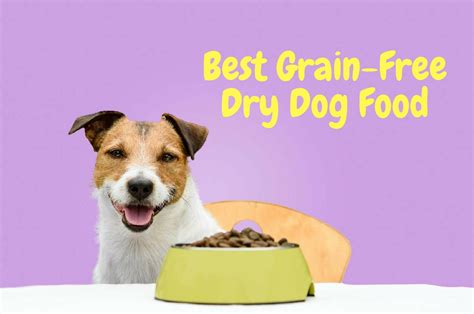 Following international pet food recalls and a wider awareness of dog allergies related to nutrition (caused by gluten, corn and other stimulants), more and more uk dog owners are seeking gluten free diets for their canine companions. Best Grain-Free Dog Food On The Market | Therapy Pet