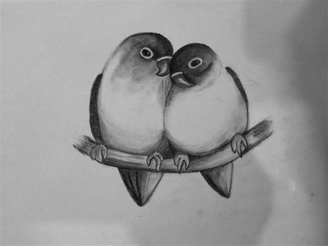 √ Love Bird Drawing